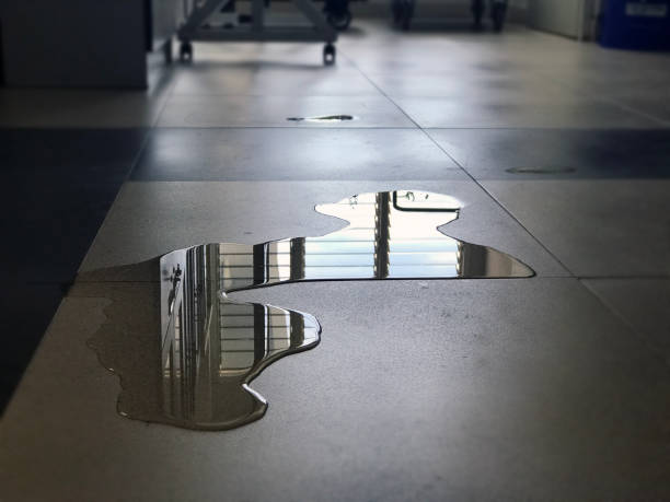 Best Local water damage restoration  in Sheboygan Falls, WI