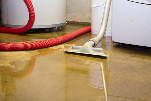 Best Water damage cleanup near me  in Sheboygan Falls, WI